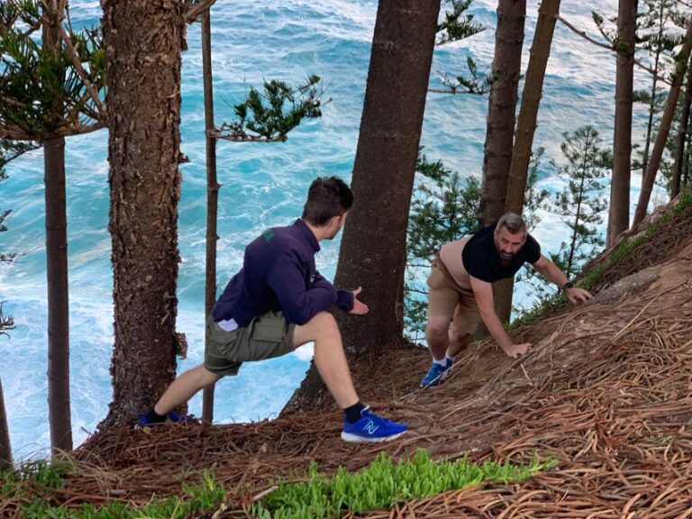 A hairy cache