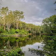 Lane Cove National Park